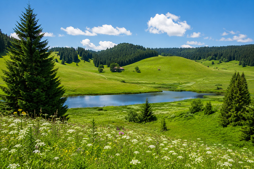 Panorama sur les Hautes-Combes entre prairies, épicéas et étang naturel