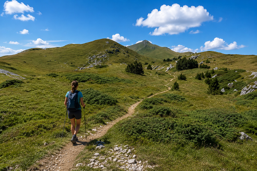 Sentier du Circuit des Crêts traversant les alpages du Haut-Jura avec vue sur les sommets environnants